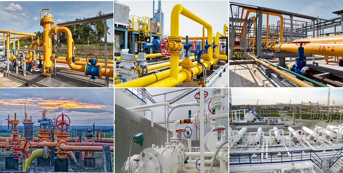 w66(中国区)最老牌官方网站