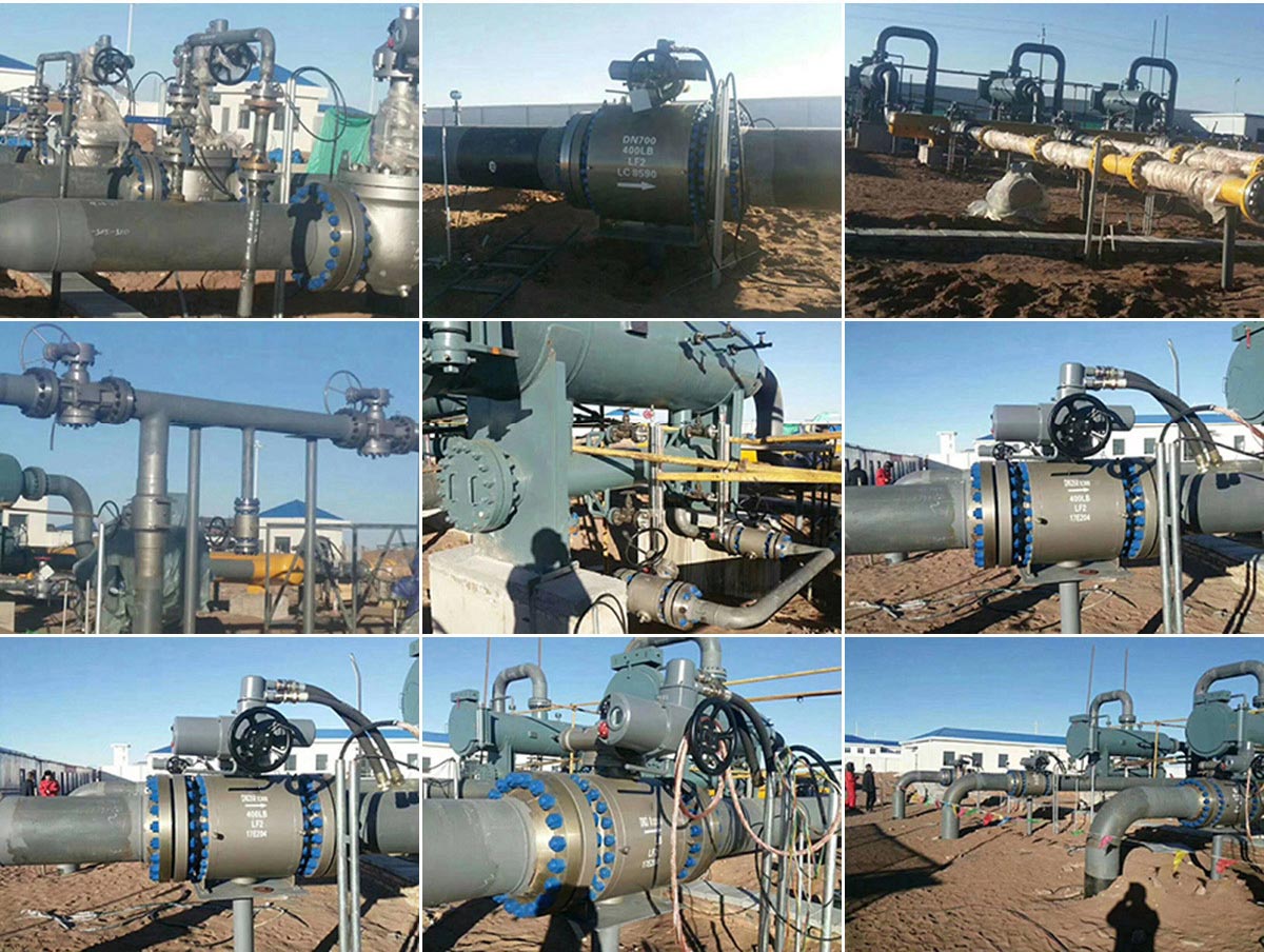 w66(中国区)最老牌官方网站