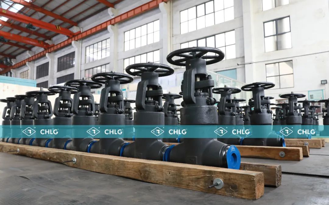 w66(中国区)最老牌官方网站