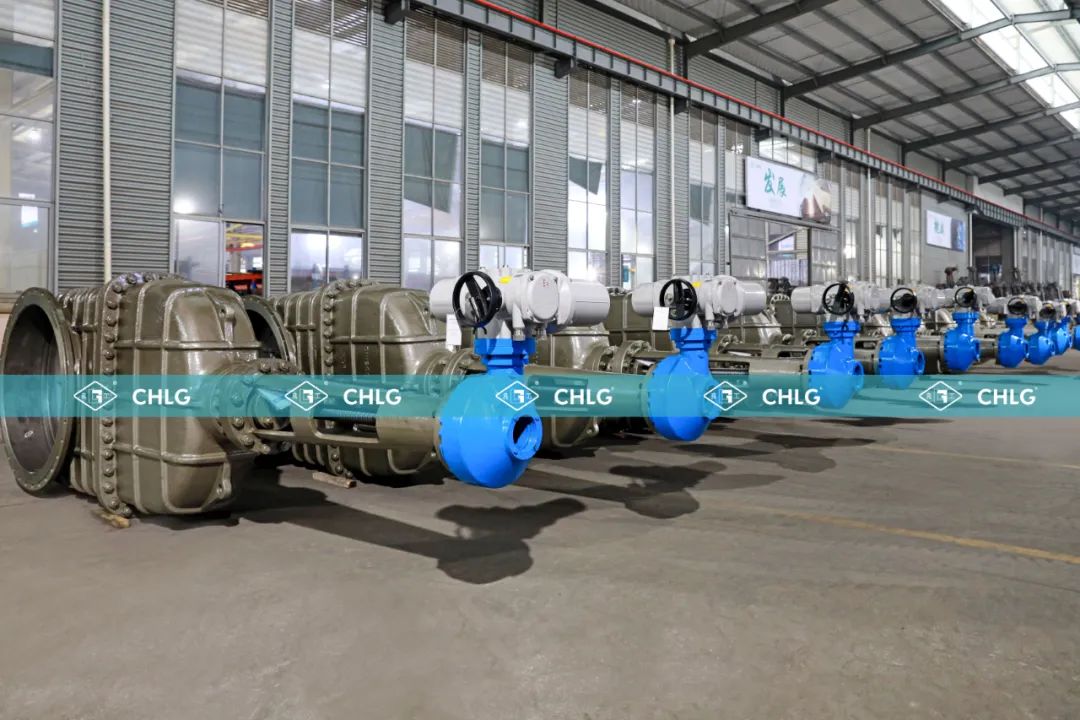 w66(中国区)最老牌官方网站