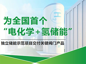 w66服务天下首个“电化学+氢储能”树模项目Serving China’s First‘Electrochemical+Hydrogen Energy Storage’Demo Project
